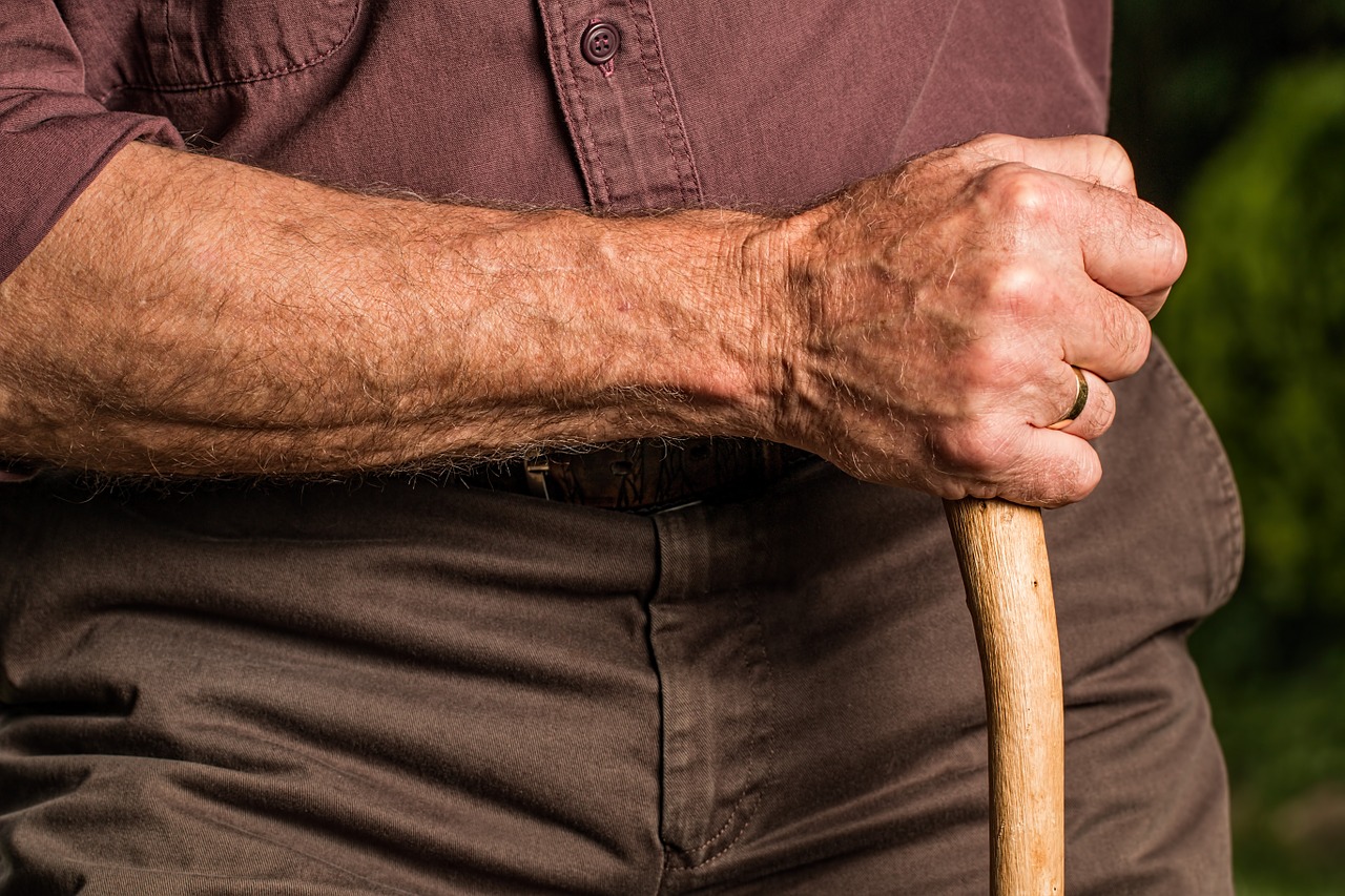 hand, walking stick, arm-588982.jpg